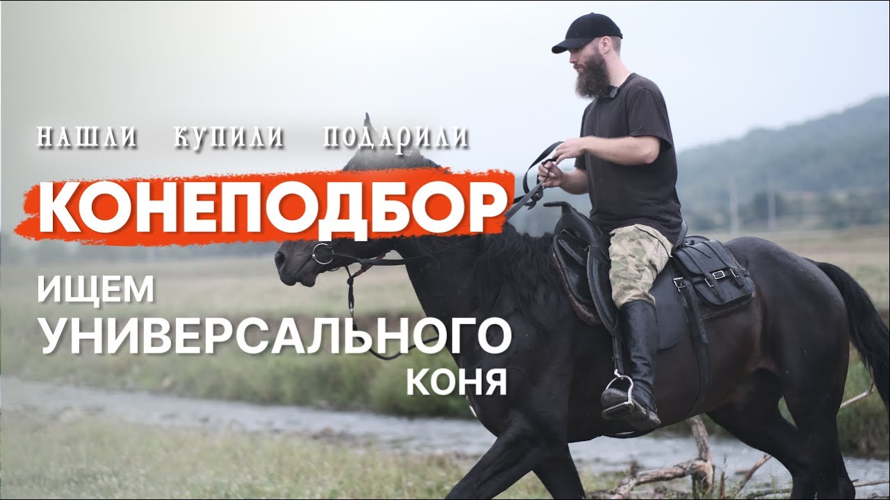Нашли и купили коня на Кавказе | Долгожданный подбор + подарок