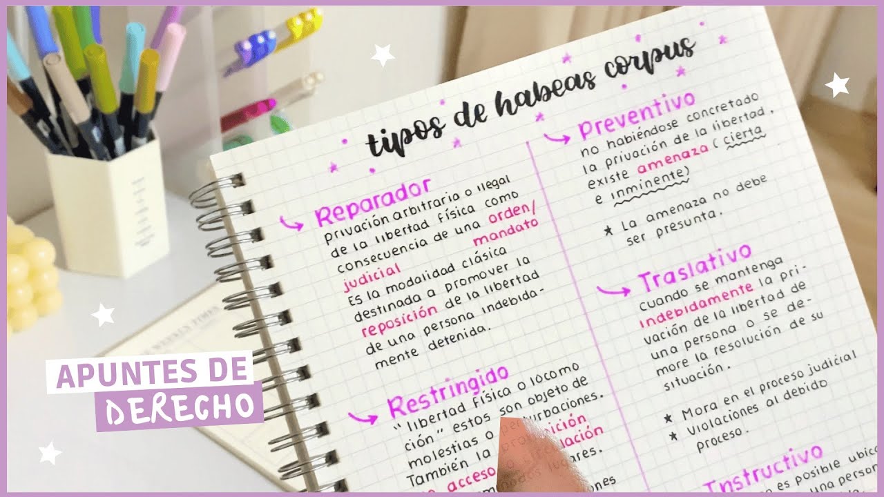 ¿Cómo hago mis apuntes de Derecho? | Haz un apunte conmigo 🌿📝