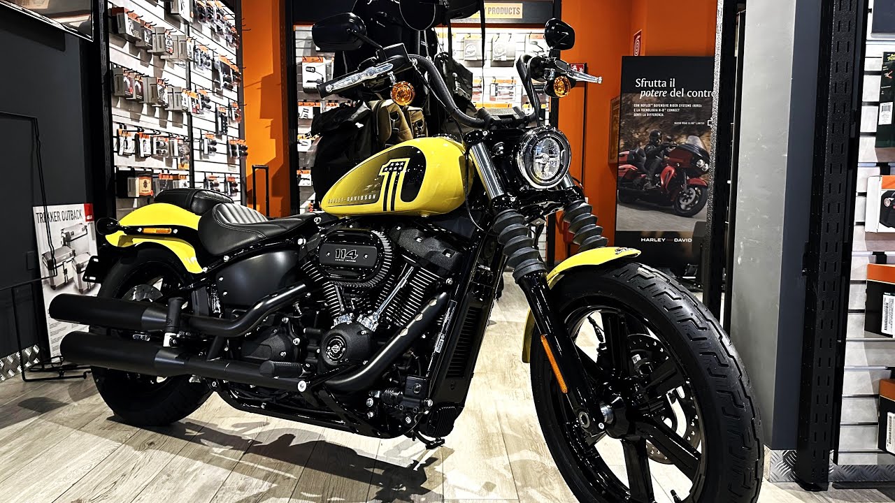 20 Best Harley Davidson Cruiser and Touring Bikes 2024