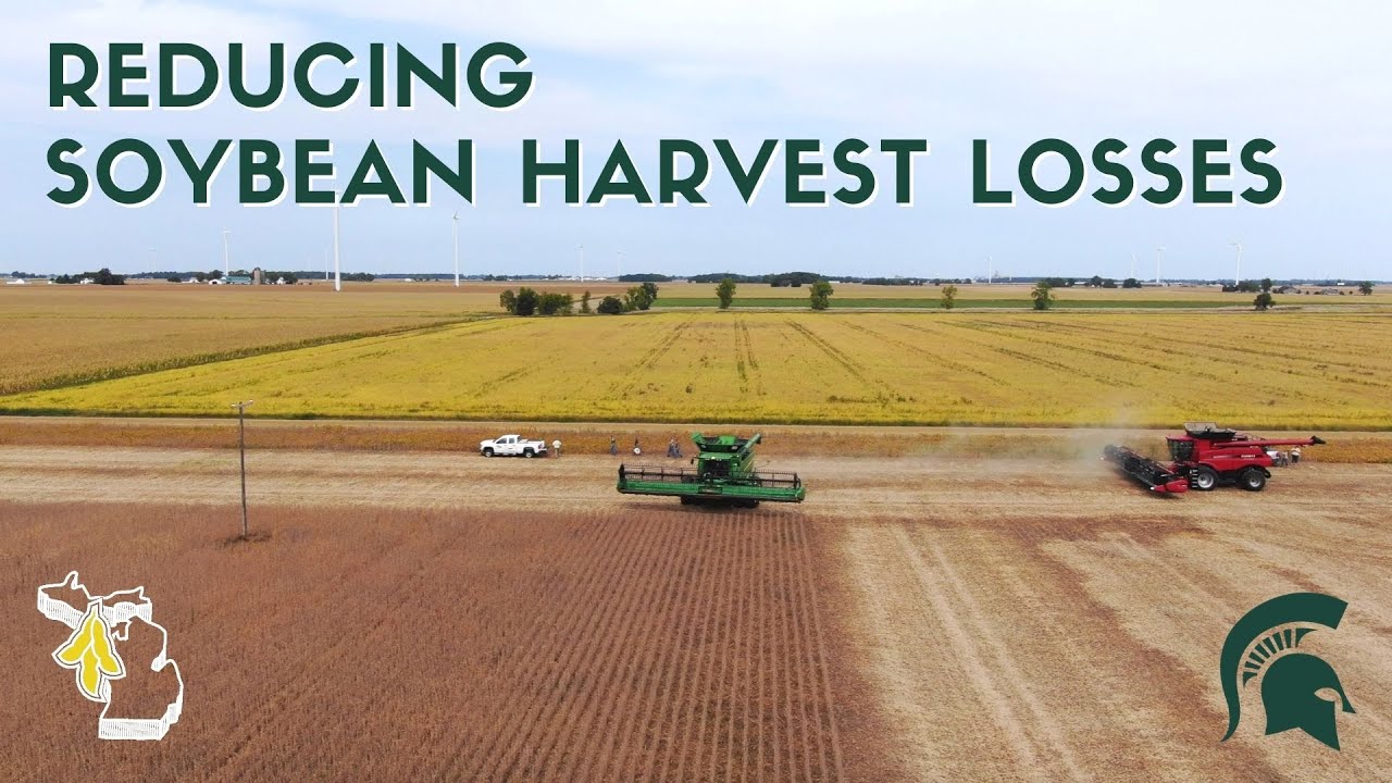 Reducing Soybean Harvest Losses | Michigan Soybean | Harvest Demonstration Video