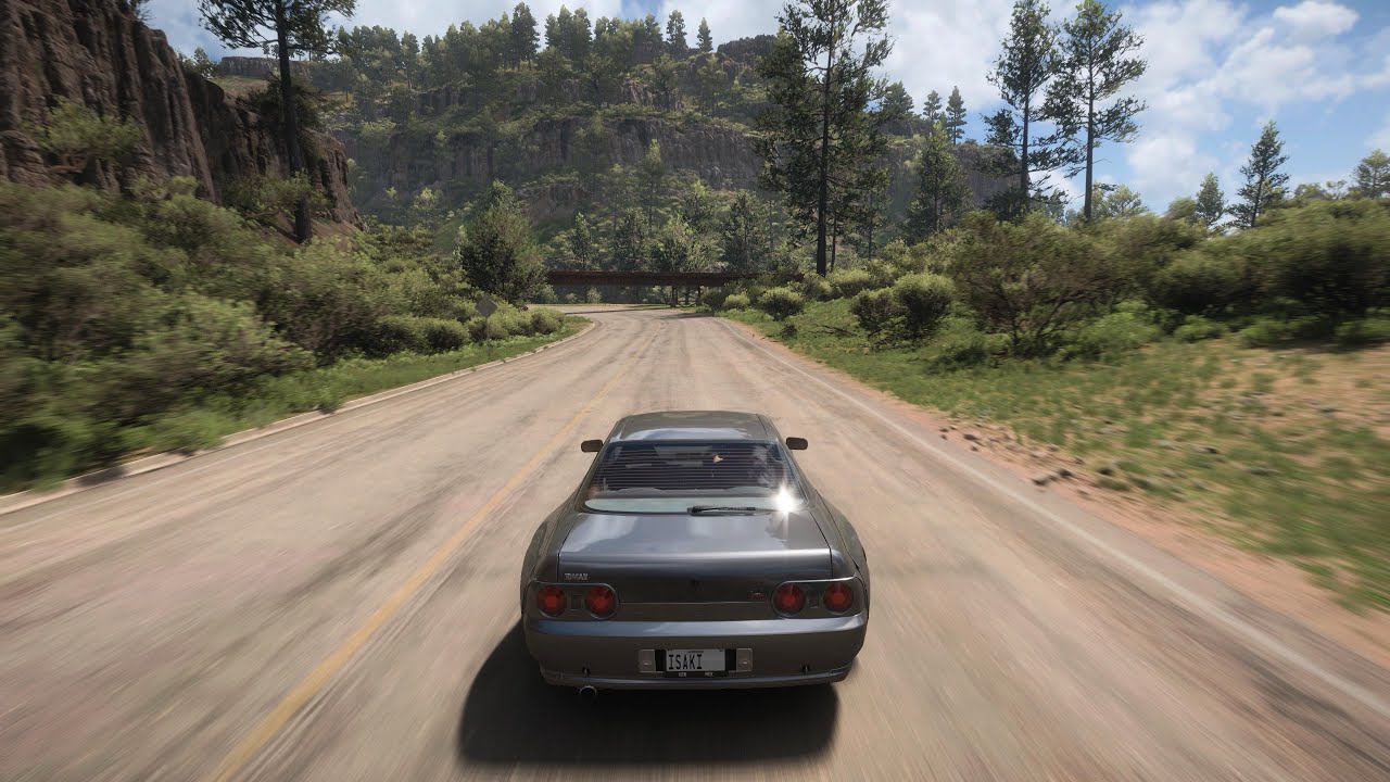 NISSAN SKYLINE GT-R | Forza Horizon 5 | DRIVING