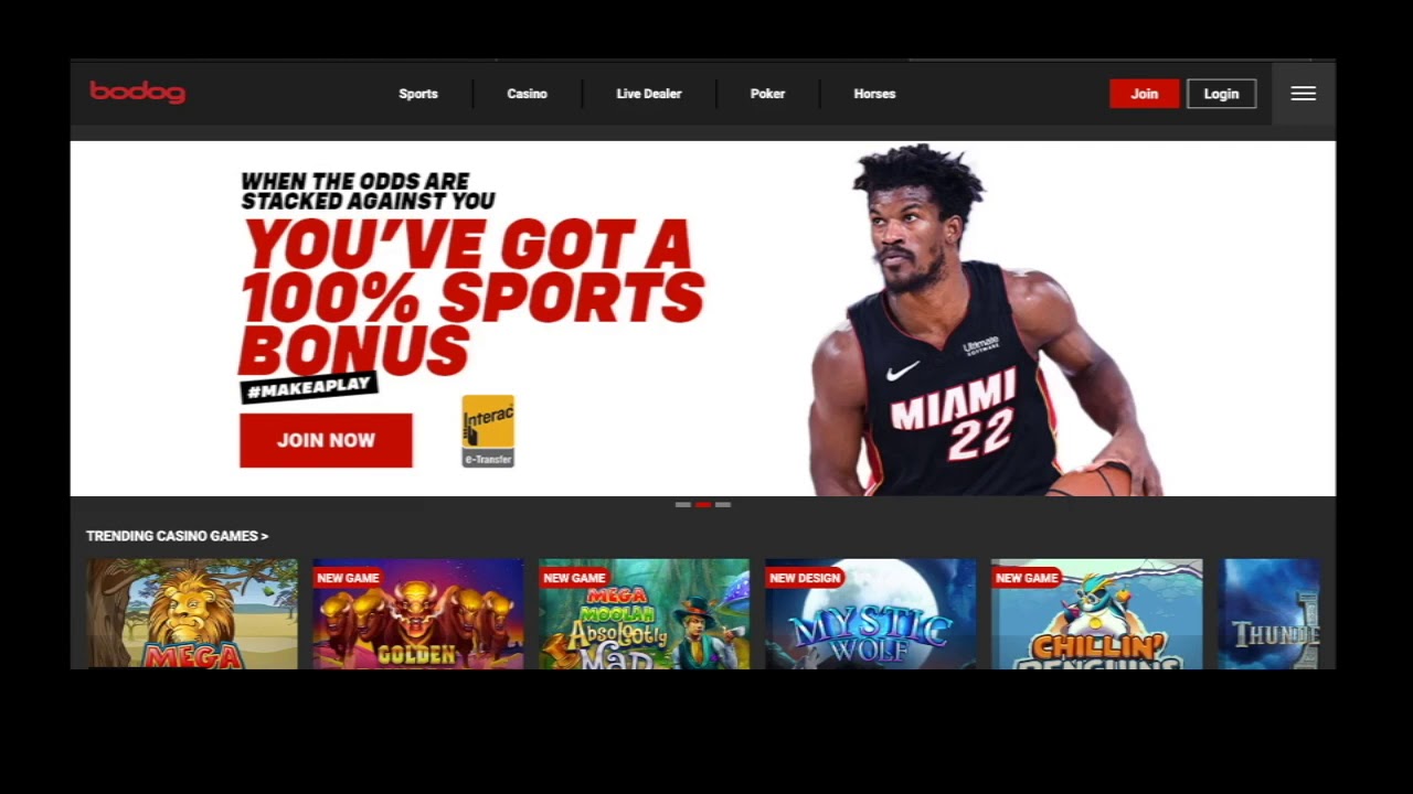 Bodog Online Casino Review - BigWinGuide