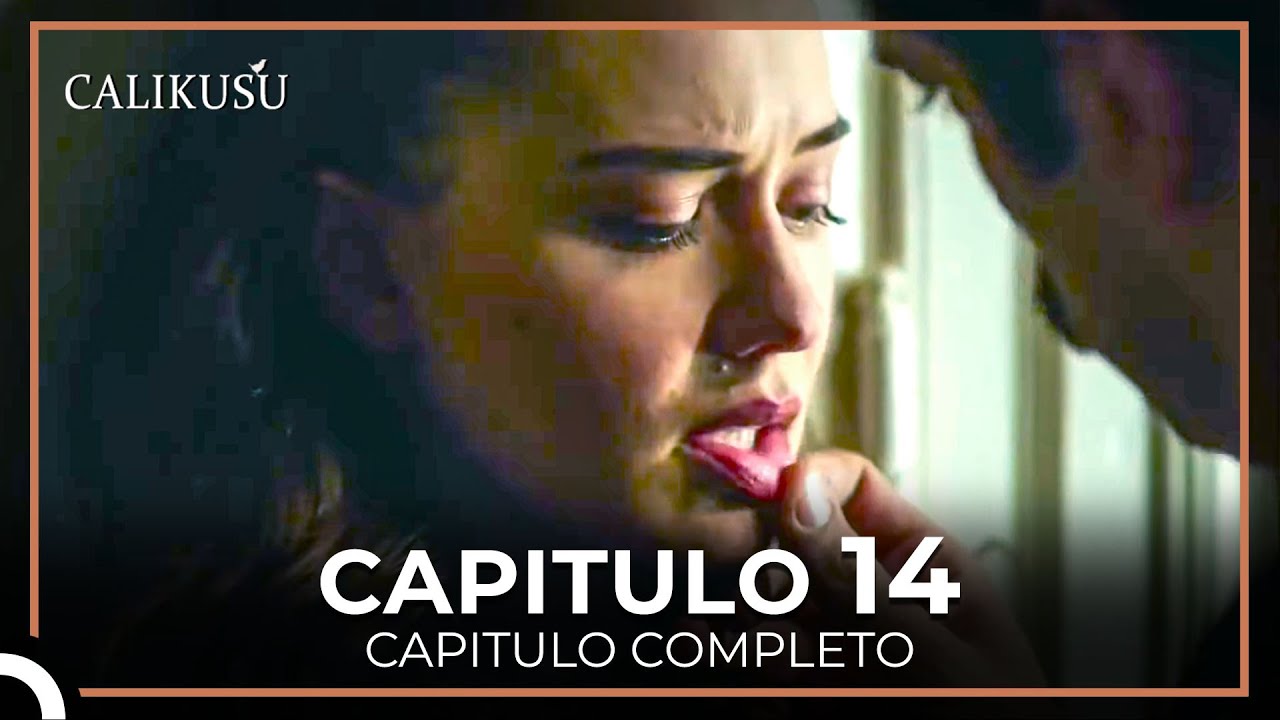 Calikusu Capitulo 14