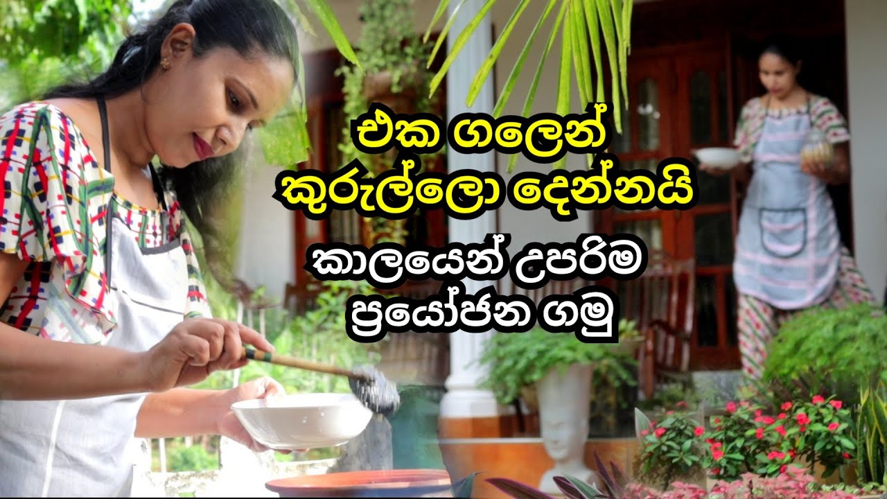 එක ගලෙන් කුරුල්ලෝ දෙන්න‍යි | Don't Waste Time , Take Full Benefits From It | Home Made Pineapple Jam