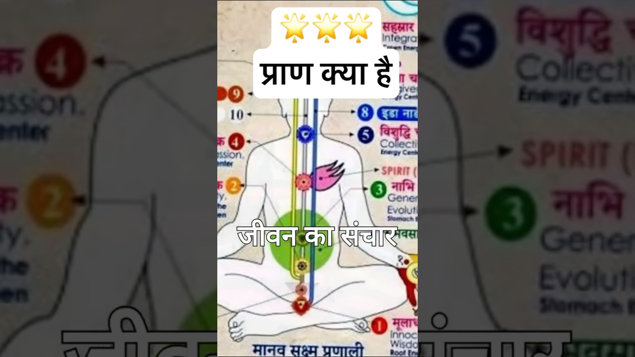 Apan vayu aur pran vayu kya hai अपान वायु और प्राण वायु को कैसे साधें? #dhyan #meditation