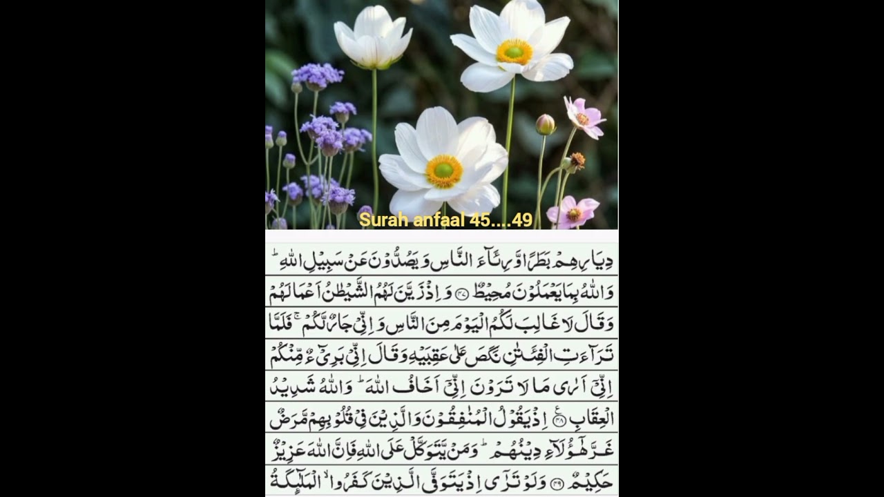 Surah anfaal 45...49...the bigginners course...word to word translation with short tafseer 