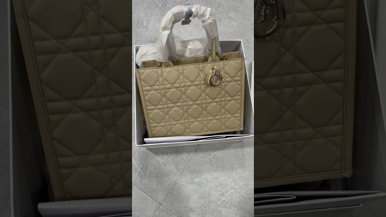 Fashion dior bag tote bag for women 