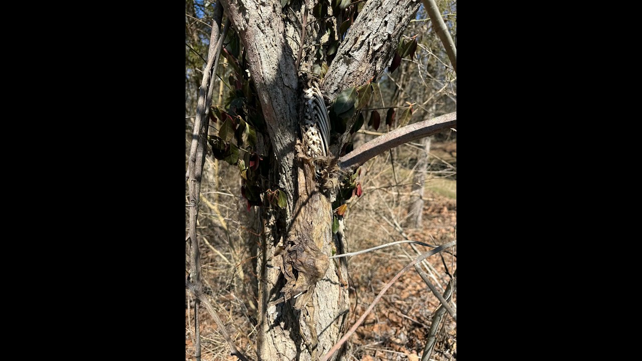 Rush Run Wildlife Area in Preble County, Ohio part 1 of 3