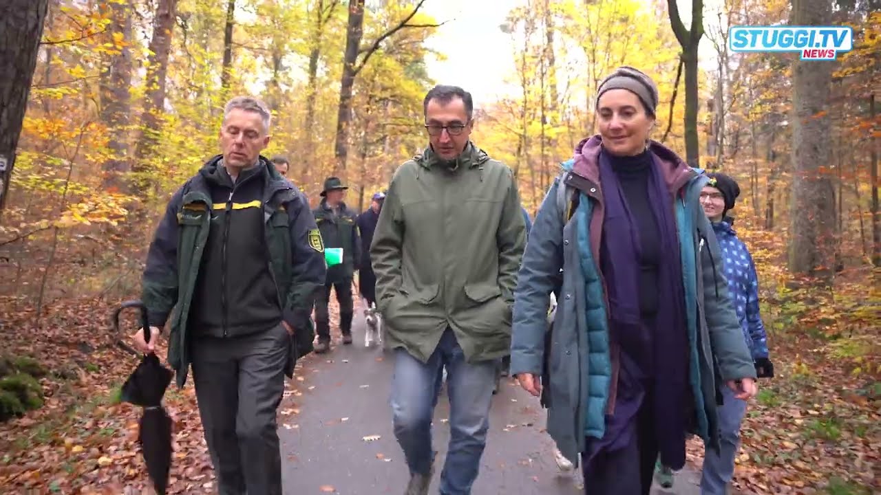 Wie geht es dem Wald in Stuttgart? | STUGGI.TV