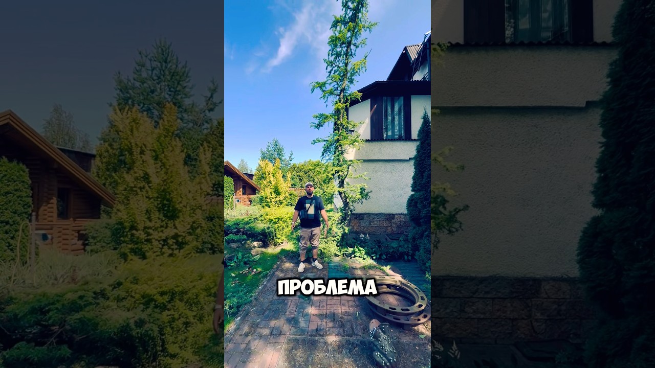 Как мы обрезали лиственницу✅💚