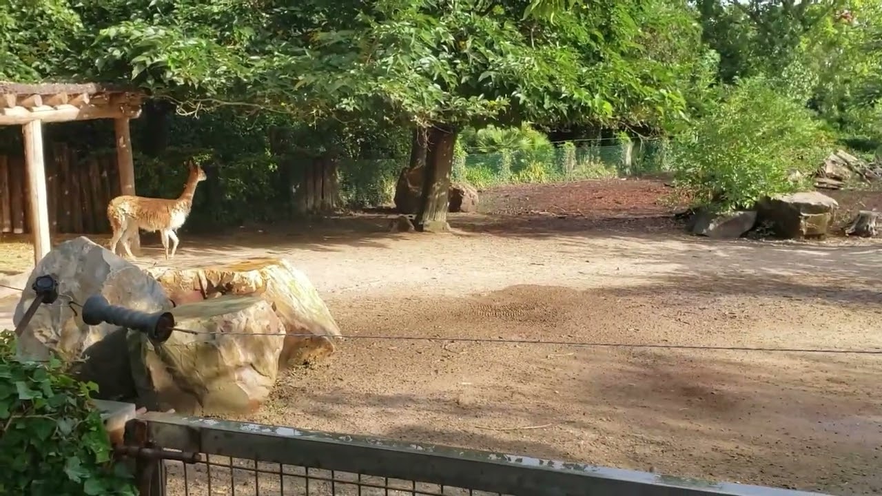 Zoo des sables d'Olonne