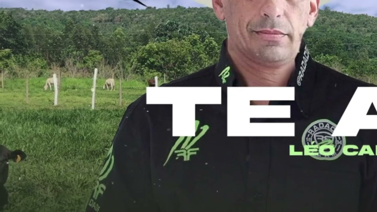 Leo capixaba/te amei/autoral