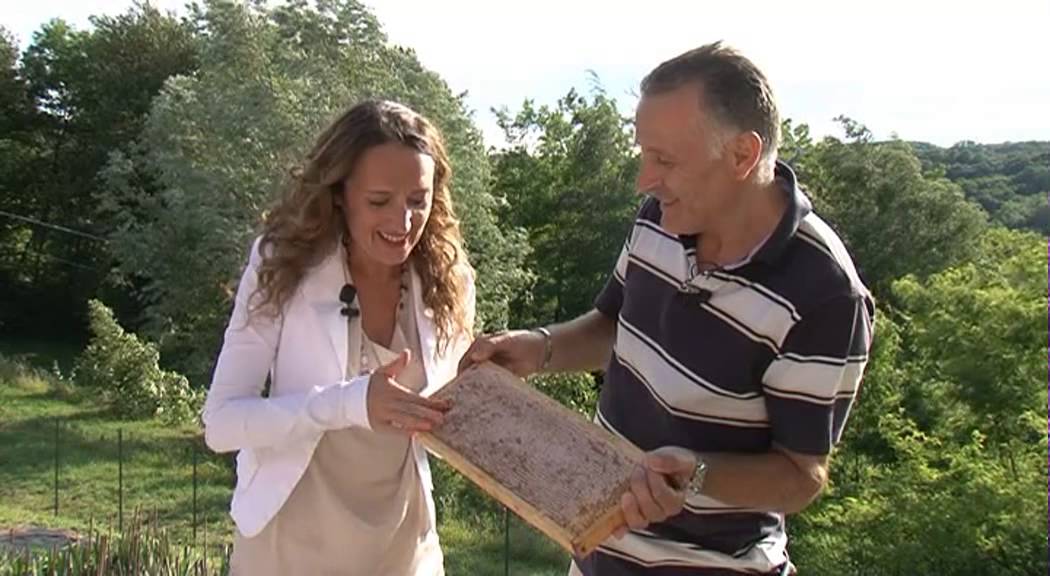 La produzione del miele di castagno