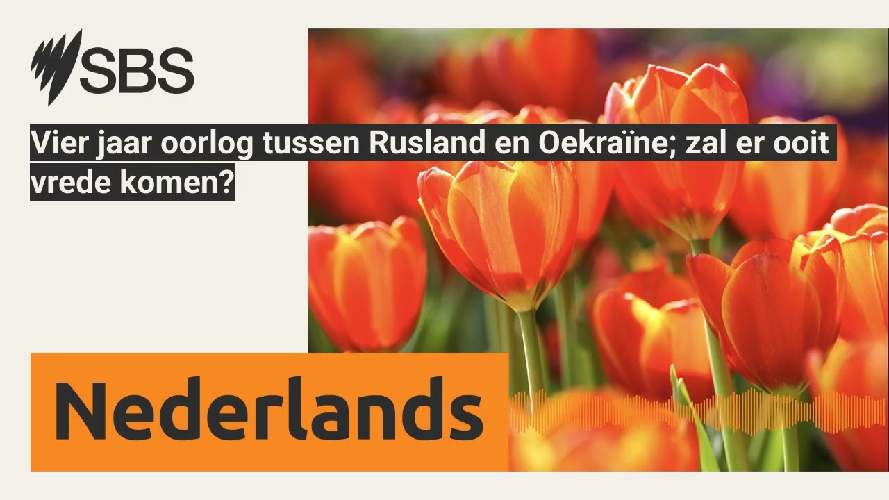 Vier jaar oorlog tussen Rusland en Oekraïne; zal er ooit vrede komen? | SBS Dutch - SBS Nederlands