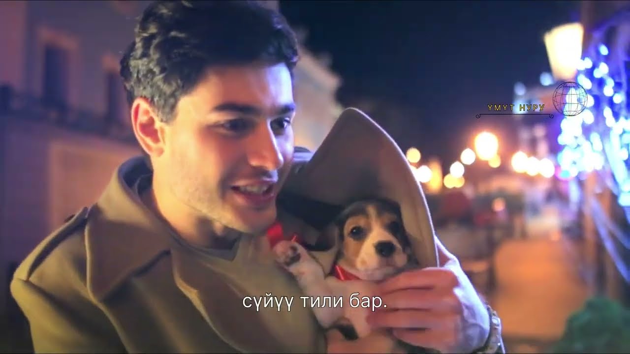 Сүйүү бул…