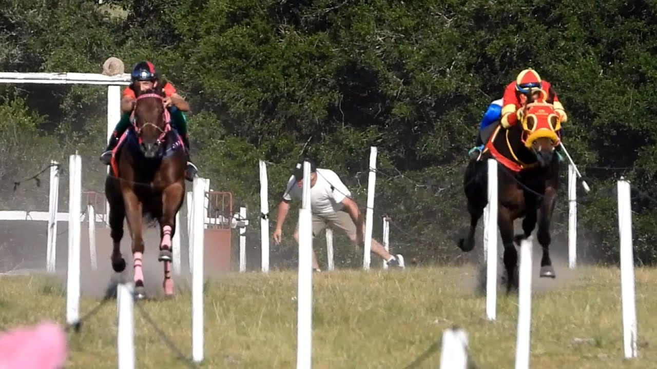 NENA LOCA - Campeona Polla de Potrillos - 400m - 14/12/2025 - Sarandi de Barcelo