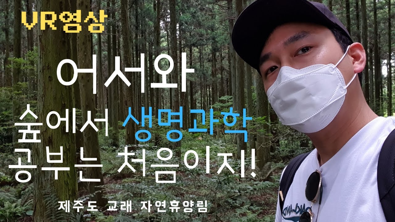 [VR, 4K영상]신비로운 제주숲길 걷기+생명과학Ⅰ, Ⅱ공부!!! #교래자연휴양림#숲해설#생태학#분류학#양치식물#선태식물