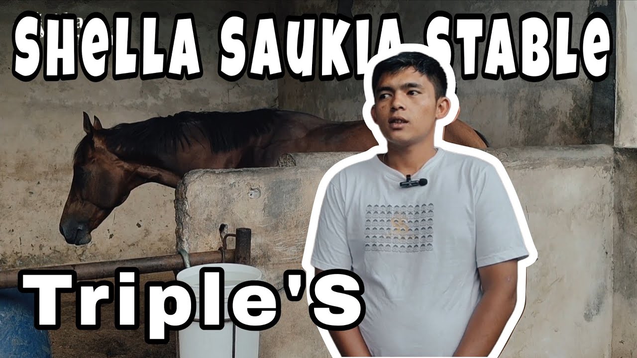 Shella Saukia Stable ‼️ Triple'S sang Pelari 2000 Meter ‼️ Full Race Kelas G