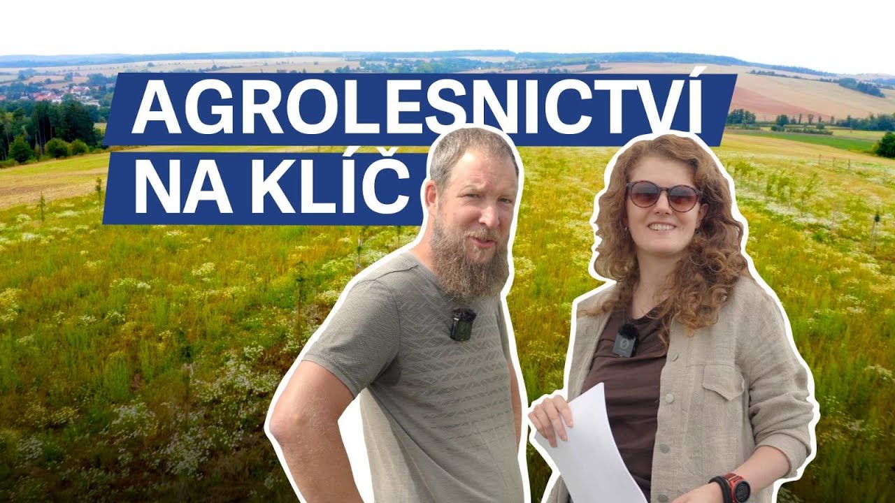 Agrolesnictví na klíč: stromy, pastva a chytré plánování pro budoucnost půdy