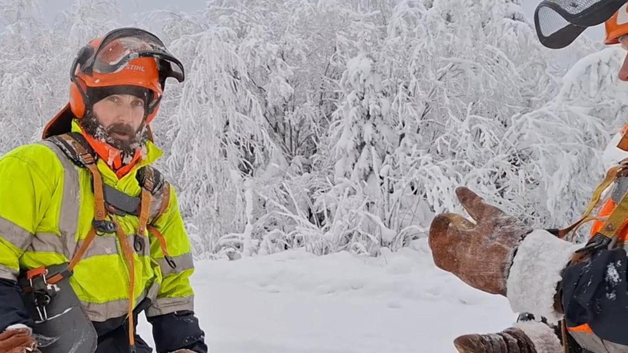 Nautitko ulkoilmasta ja luonnosta? - Metsurin fiilikset tammikuulta