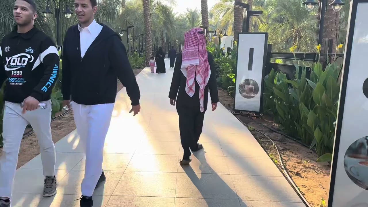 جادة النخيل بعنيزة