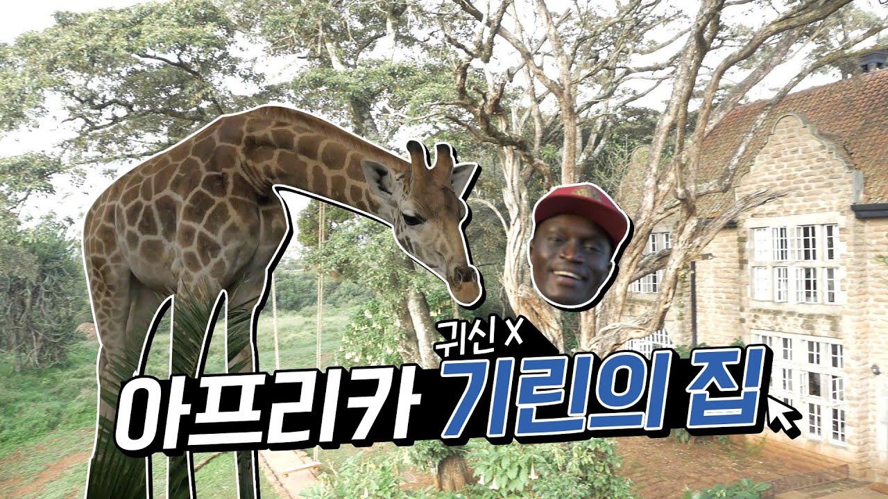 조슈아 : 하루 숙박비가 170만 원? 어서와 기린 호텔은 처음이지? l 채널A 지구인라이브 3회 오리지널 영상
