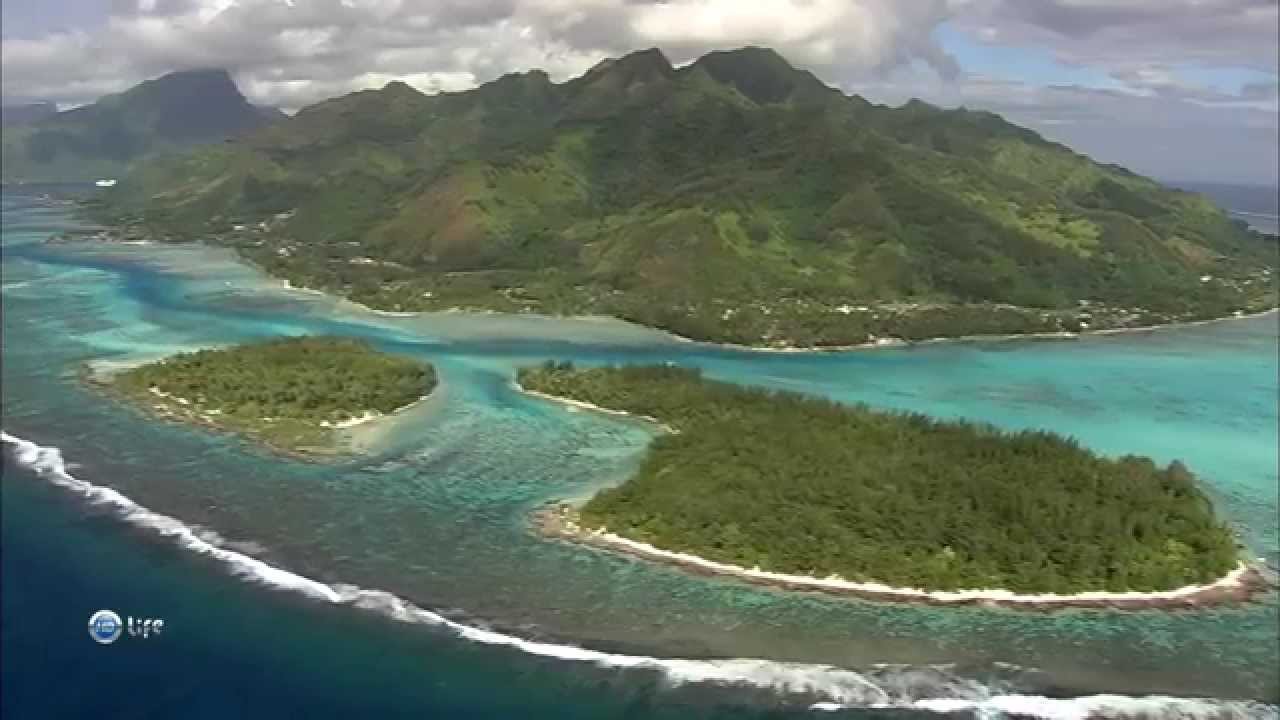 Таити Райские остров.Paradise island of Tahiti