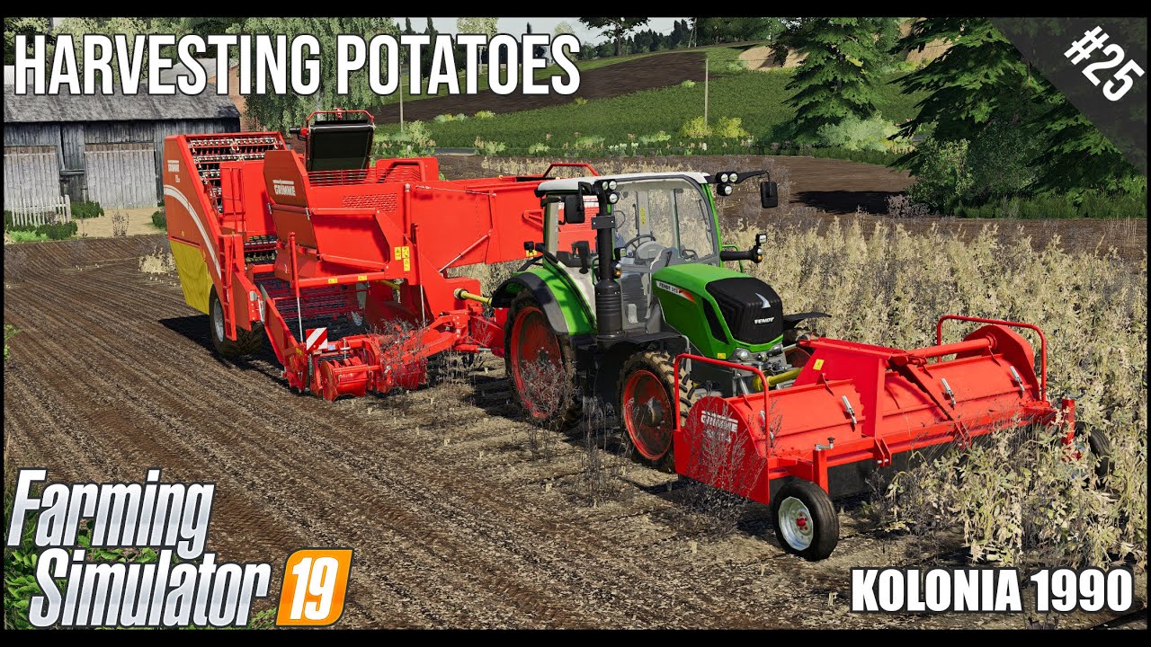 FS19 Harvesting potatoes. ★ Farming Simulator 19 Timelapse ★ Kolonia 1990 ★ Episode  #25