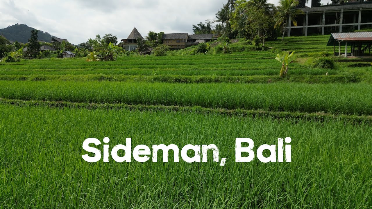 Sideman, Wapa di Ume, Virgin Beach, Tirta Gangga & Market & Cooking