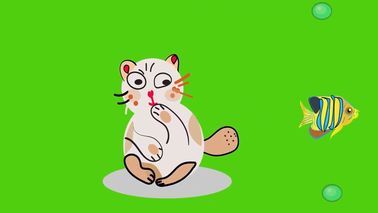 Animated green screen cat |  Animation World | Cartoon videos for kids