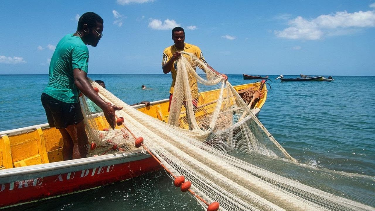 PECHE TRADITIONNELLE AU FILET EN GUADELOUPE