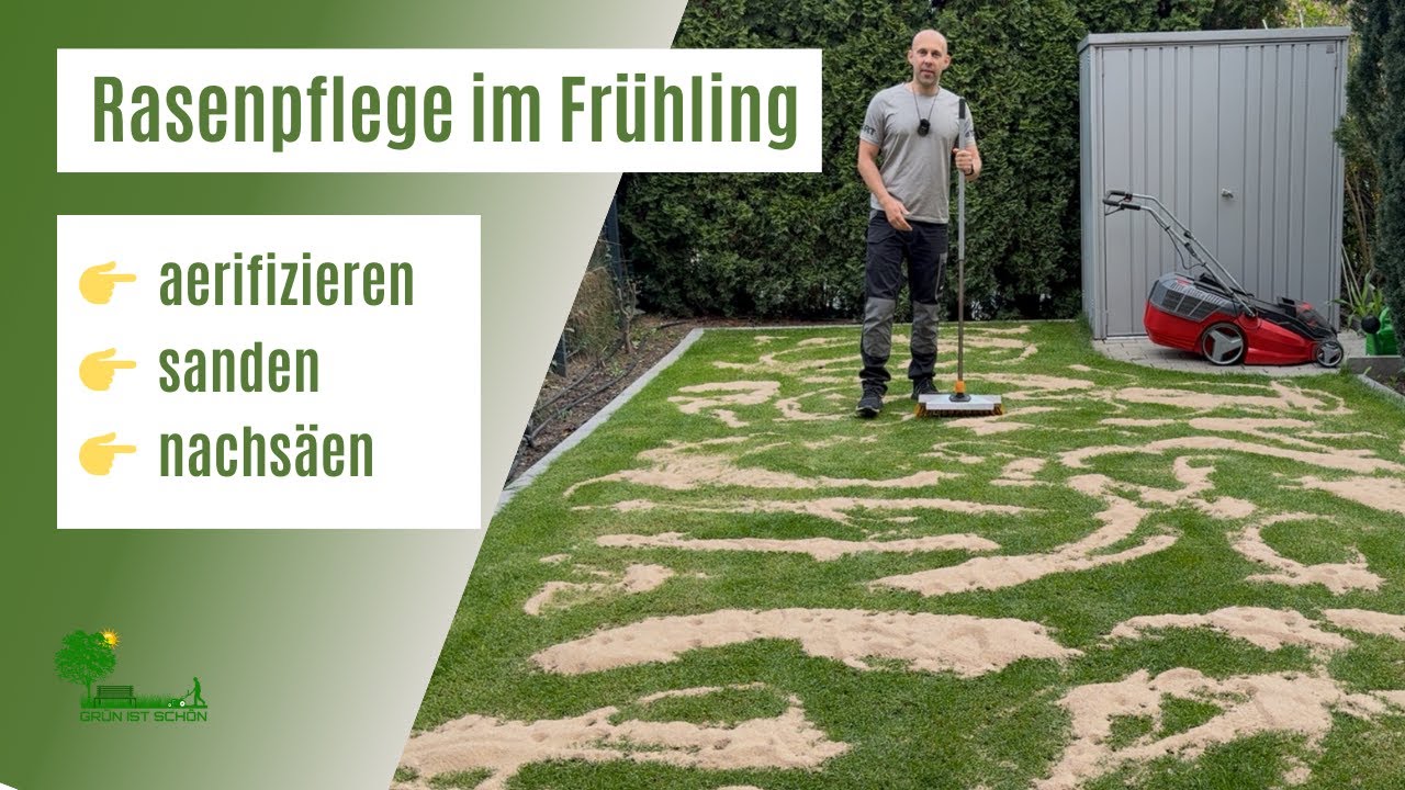 Optimale Rasenpflege im Frühling | Aerifizieren, sanden & nachsäen für einen dichten, grünen Rasen!