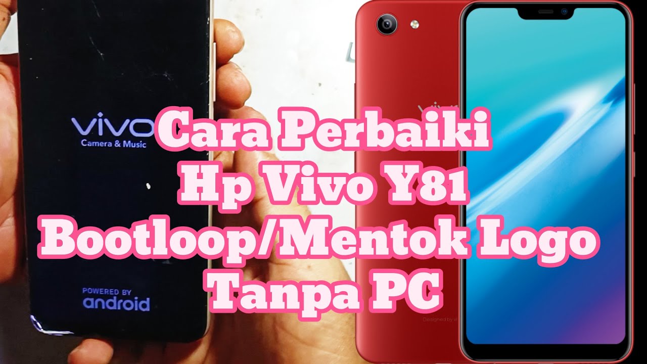 Cara perbaiki HP Vivo y81 bootloop tanpa PC - HP Vivo Y81 mentrok logo berhasil normal kembali