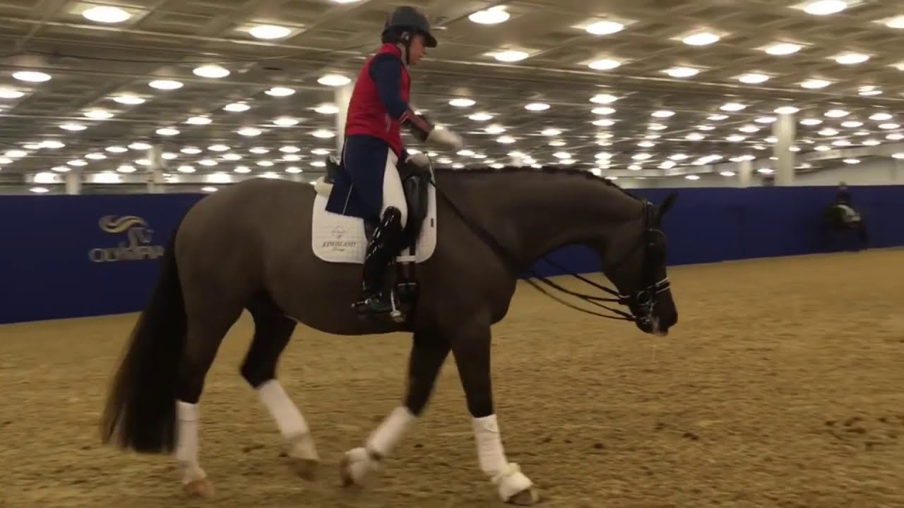 Valegro and Charlotte Dujardin Warming Up at Olympia
