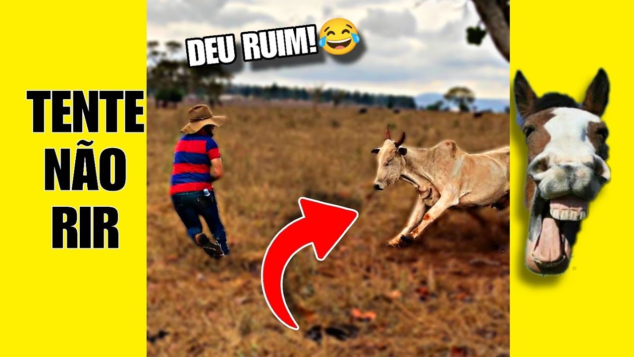 VÍDEOS ENGRAÇADOS 48: TENTE NÃO RIR #videosengracados #tentenaorir #humor #comedia #memes #tiktok 