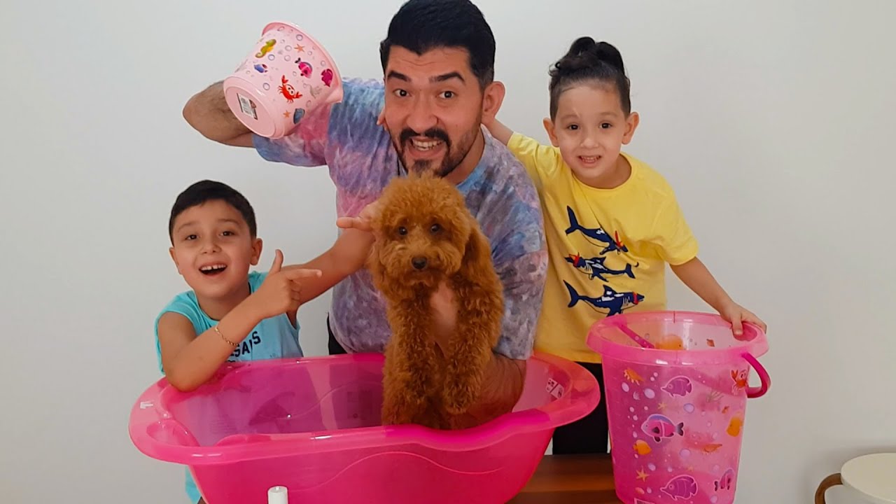 Ali Uras'ın Köpeği Hera'nın İlk Banyosu! Köpüklü Su İçinde Çok Sakin Yıkandı! Köpek Nasıl Yıkanır!