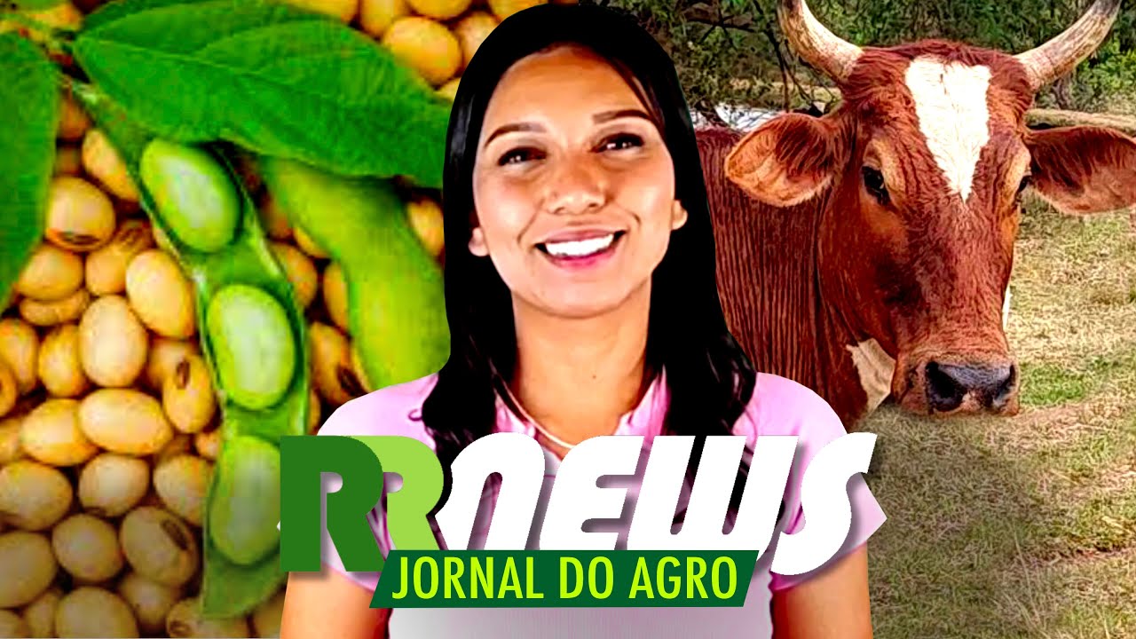 RRNEWS - O Jornal do Agro - 25/10/2025