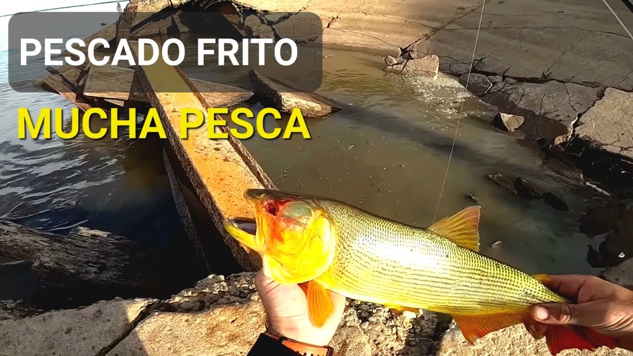 PESCA Y COCINA en 