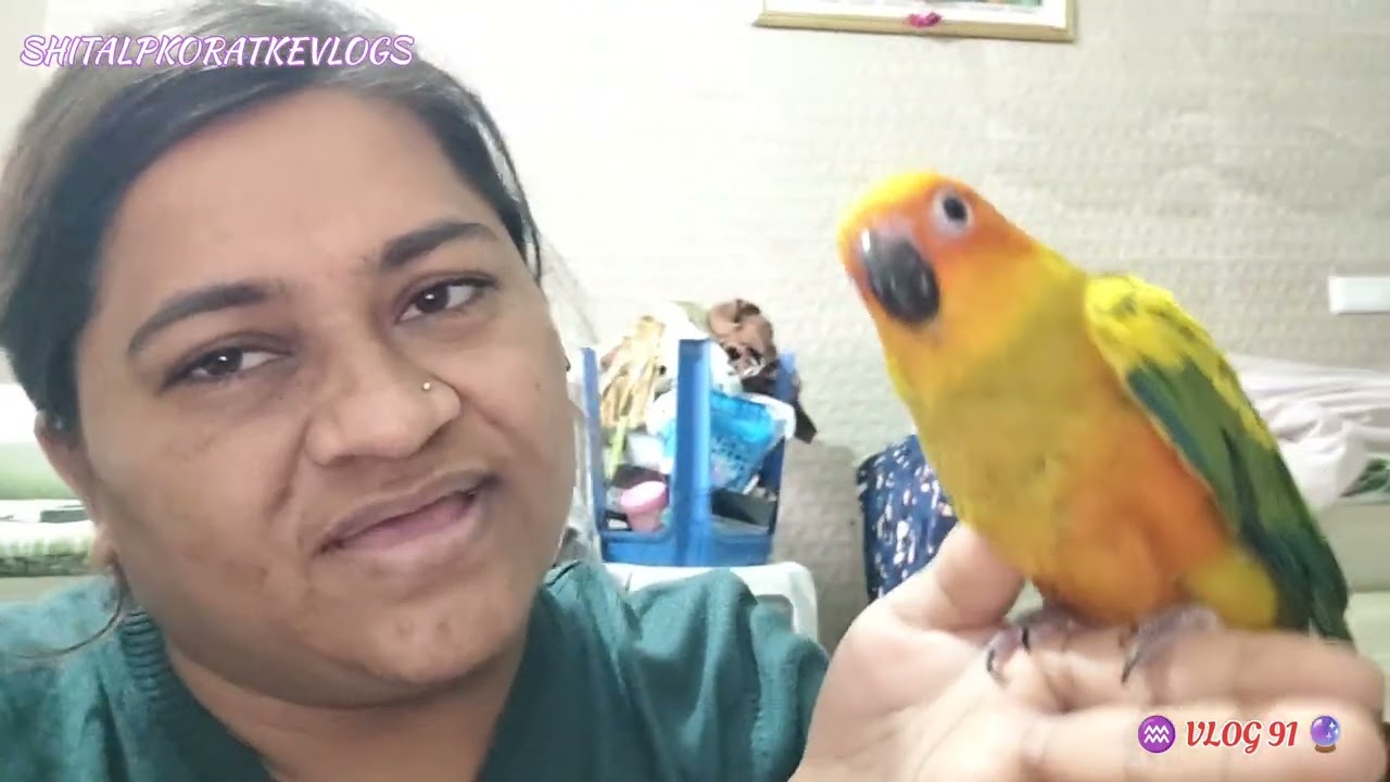 Hamare Pyare Se Dulare Se Mango Ji 🦜