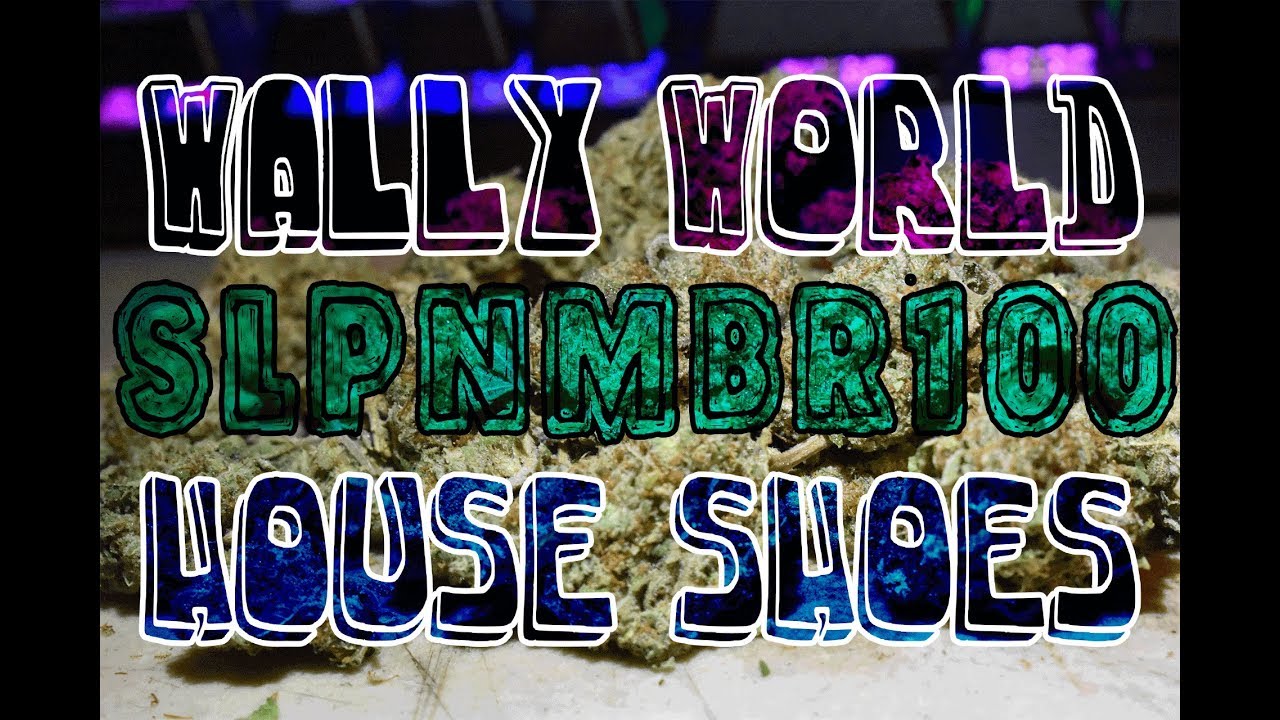SLPNMBR100 - Wally World House Shoes (music video)