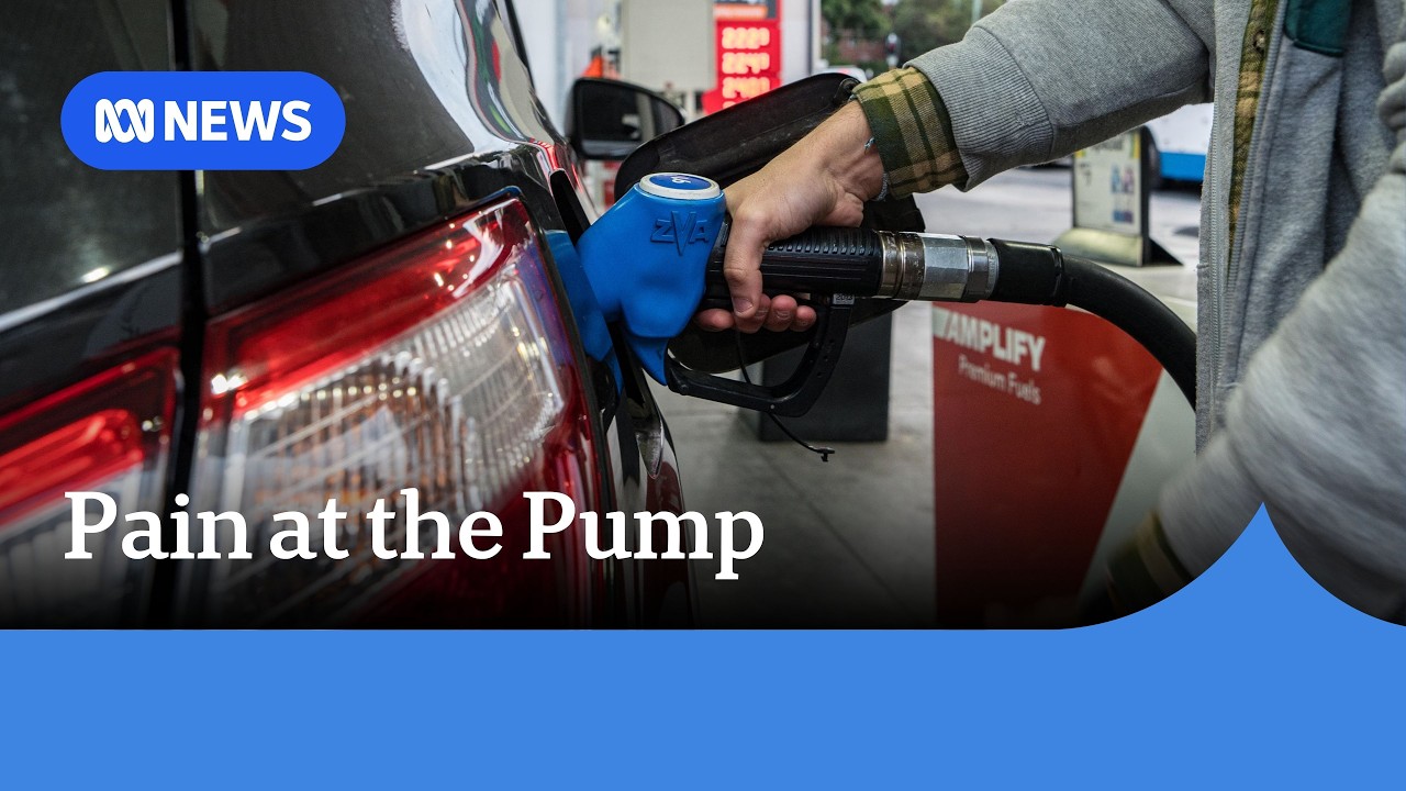 Fuel companies face competition watchdog as petrol prices soar | ABC NEWS