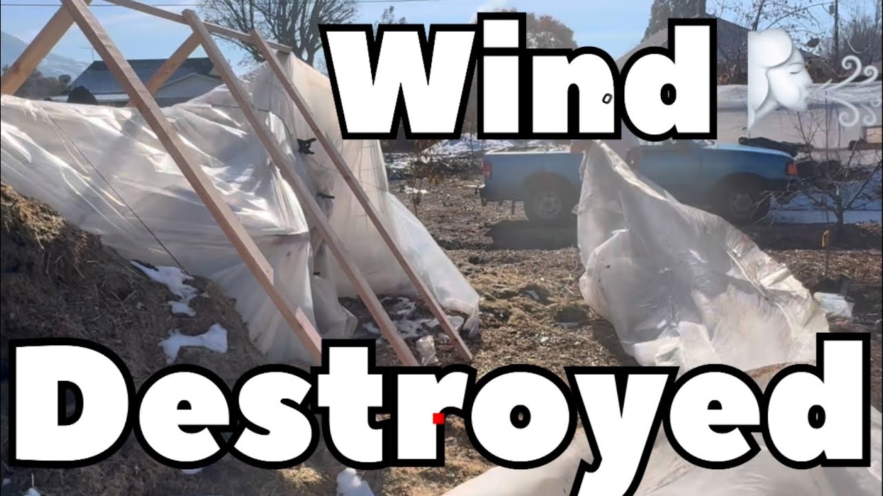 Ураганный ветер разрушил эти теплицы! Удастся ли их спасти?!