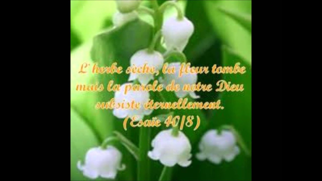 Le grave danger de l'aveuglement spirituel par Henri Viaud