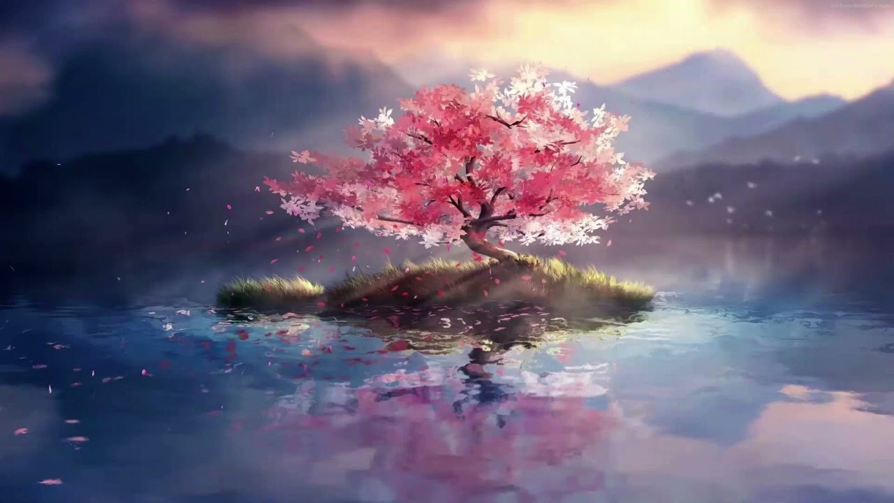 Ambient Study Music to concentrate | Half an Hour Music for study, meditation and concentration |