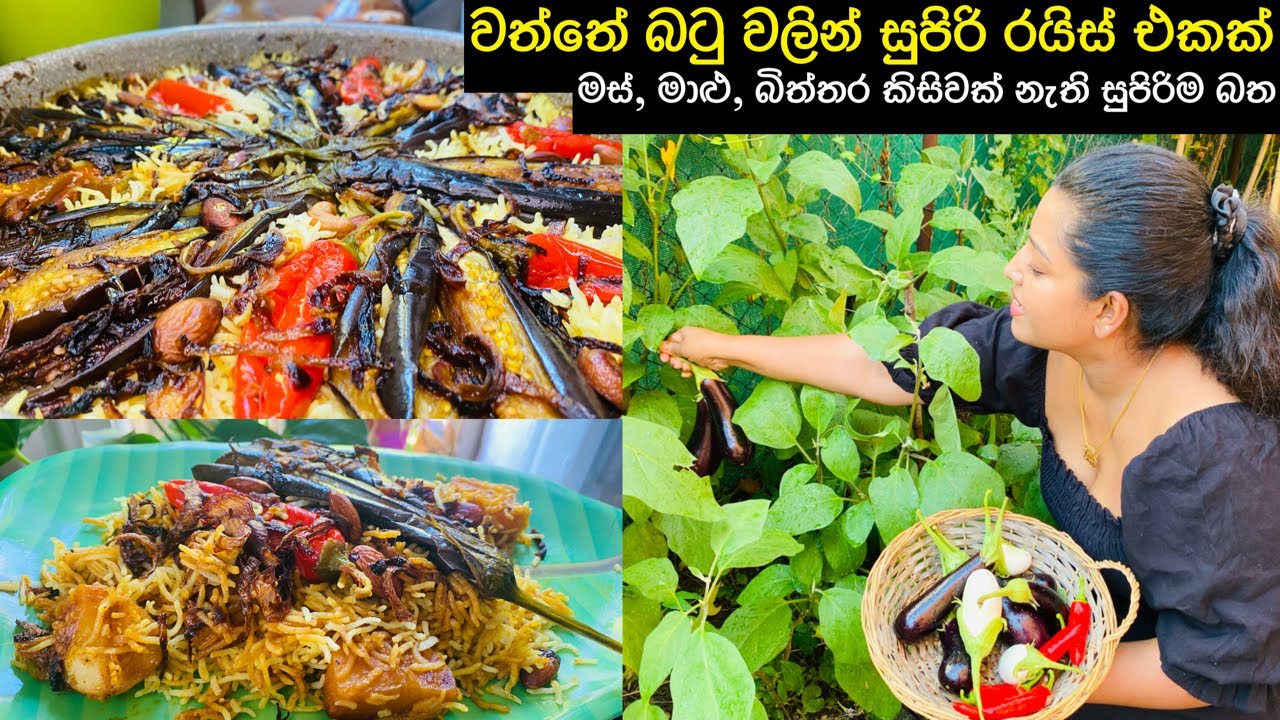 වත්තෙ වම්‍බටු වලින් මෙච්‍චර රස බත් එකක්/ මස් මාළු රස පරාදයි/හදලම බලමු/eggplant Biryani/බටු රයිස්🥗