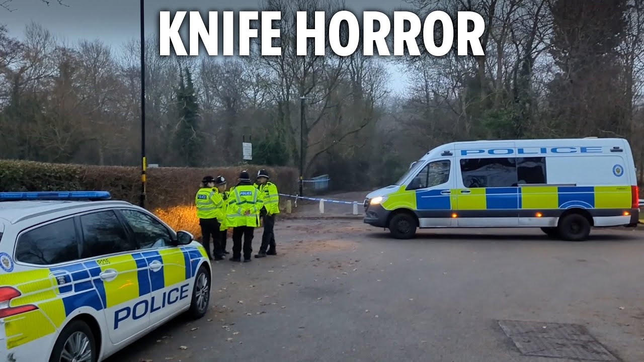Boy, 12, stabbed to death near primary school as boy, 14, arrested for 'murder'