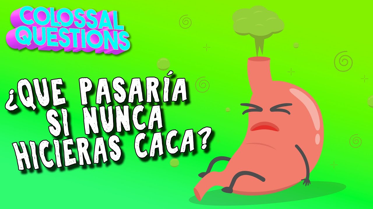 ¿Qué pasaría si nunca hicieras caca? | PREGUNTAS COLOSALES