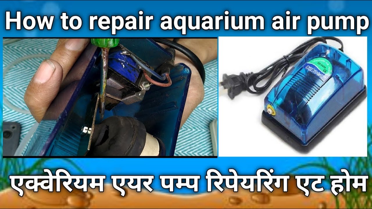 How to repair aquarium air pump। Aquarium air pump ko kaise repair Karen at home। In Hindi