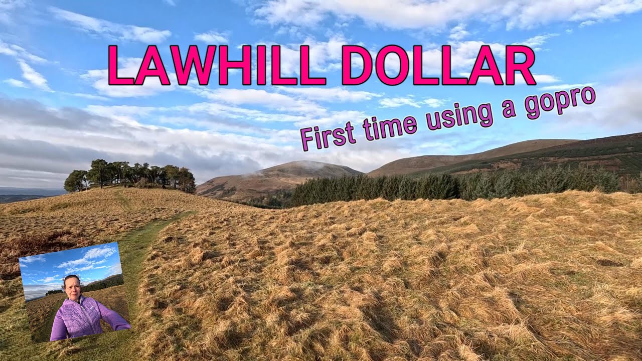 Lawhill Dollar