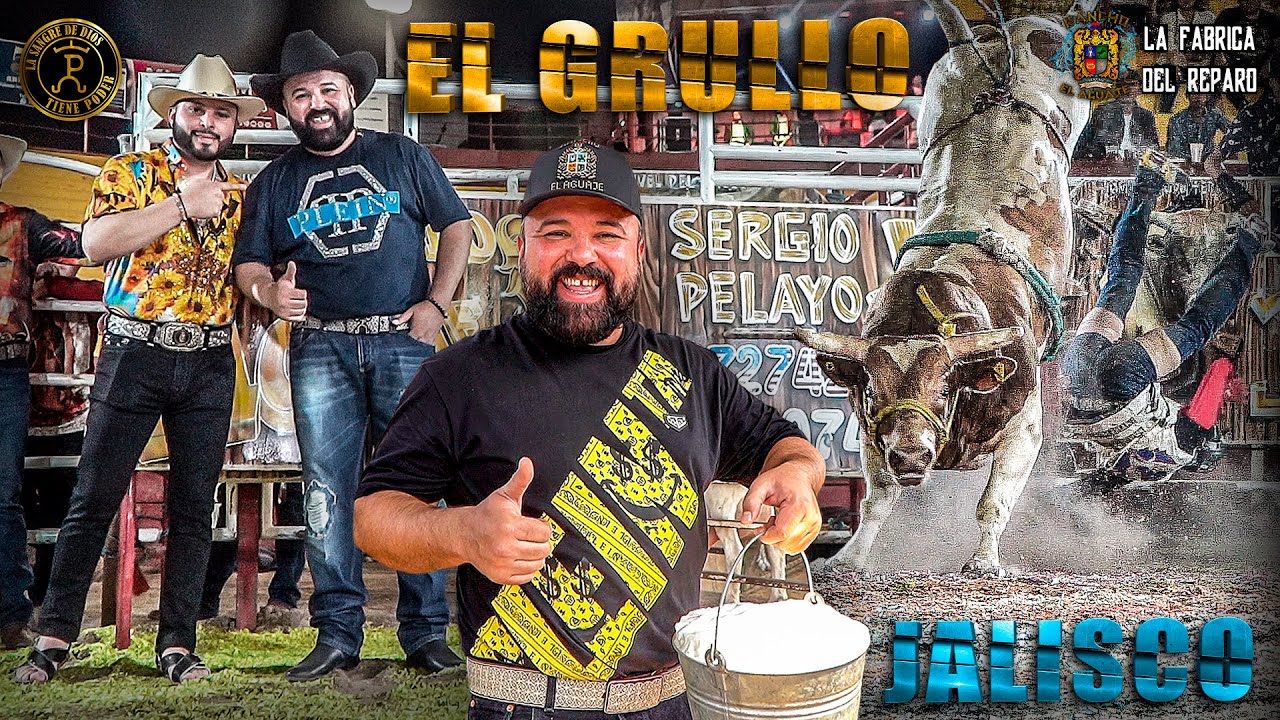 ¡¡¡DESDE LOS PAJARETES Y HASTA LA JUGADA!!! LLEVAMOS LOS MEJORES EJEMPLARES A EL GRULLO, JALISCO...